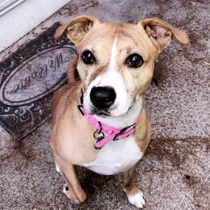 Meet your Posher, Kimberly